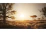 design open world 3d game environments, fantasy landscapes, urban worlds, unity
